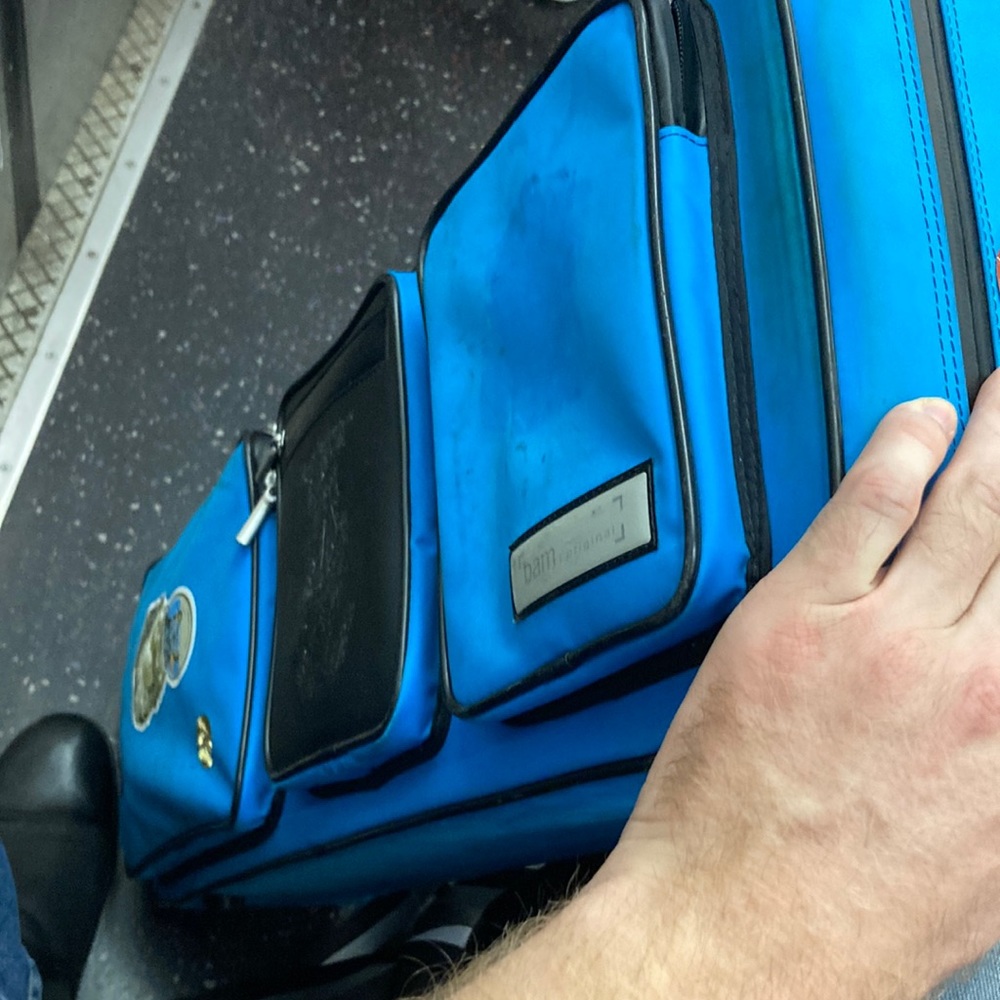 Violin case or luggage bag